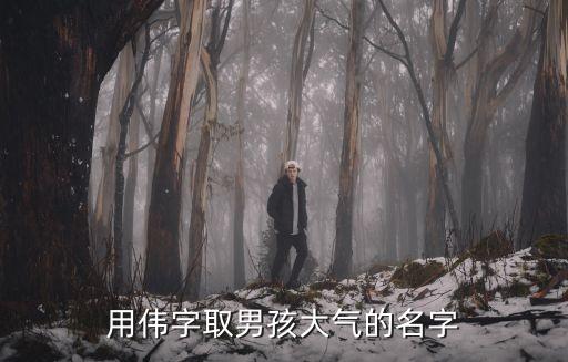 用偉字取男孩大氣的名字