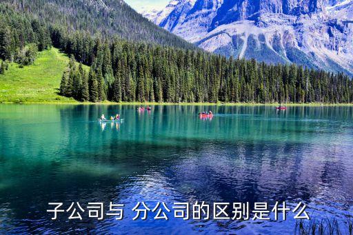 子公司和分公司,異地成立分公司流程