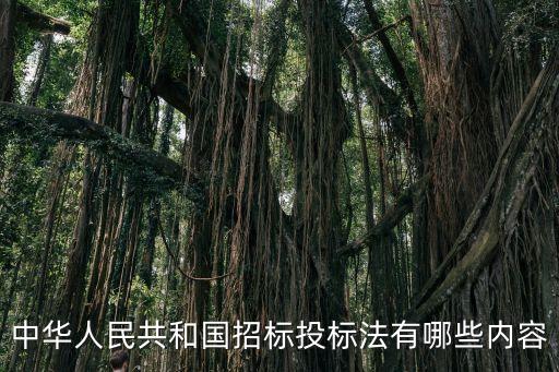 民法典關(guān)于招投標條款