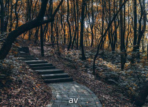 csav