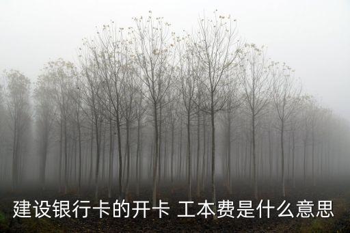 建設銀行卡的開卡 工本費是什么意思