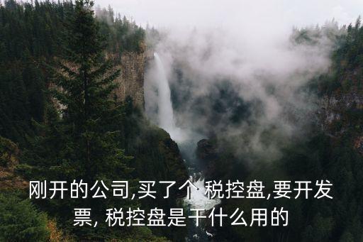 剛開的公司,買了個(gè) 稅控盤,要開發(fā)票, 稅控盤是干什么用的