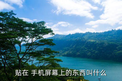 手機(jī)美容
