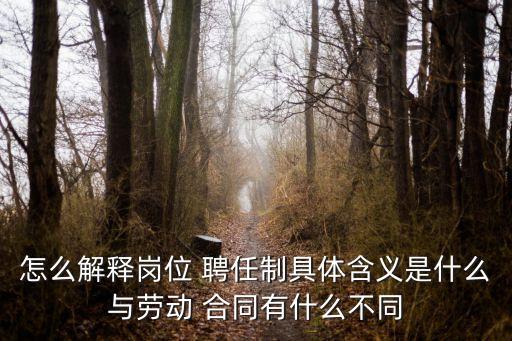 怎么解釋?shí)徫?聘任制具體含義是什么與勞動 合同有什么不同