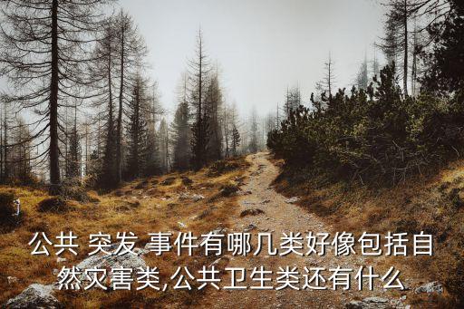 公共 突發(fā) 事件有哪幾類好像包括自然災(zāi)害類,公共衛(wèi)生類還有什么