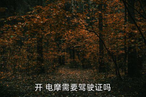 開 電摩需要駕駛證嗎