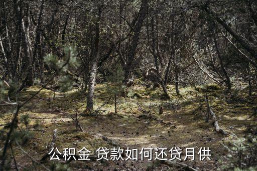  公積金 貸款如何還貸月供