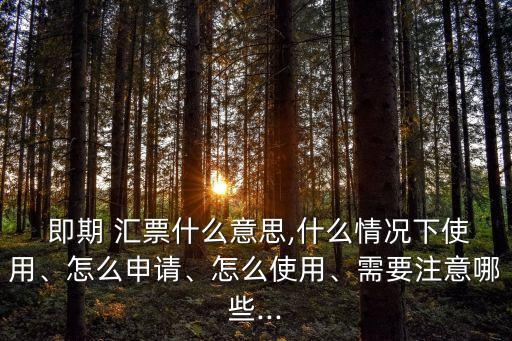  即期 匯票什么意思,什么情況下使用、怎么申請、怎么使用、需要注意哪些...