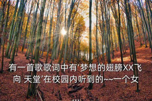 有一首歌歌詞中有‘夢想的翅膀XX飛向 天堂’在校園內(nèi)聽到的~~一個女...