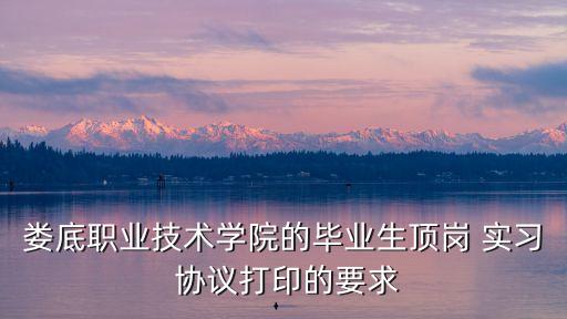 實習協(xié)議模板,試用期勞動協(xié)議模板