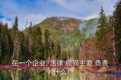 在一個(gè)企業(yè), 法律 顧問(wèn)主要 負(fù)責(zé)什么
