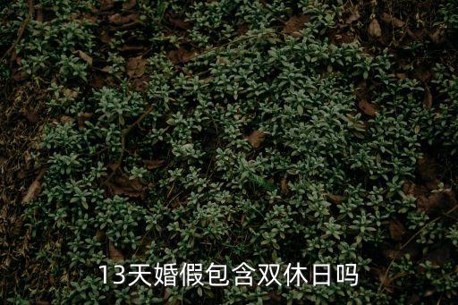 婚假算周末嗎,十五天婚假算周末嗎