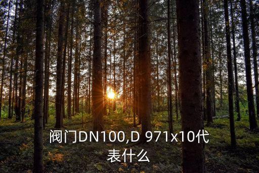 閥門DN100,D 971x10代表什么