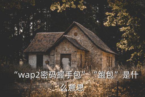 跑包,wifi跑包