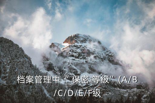 檔案管理中“ 保密 等級”(A/B/C/D/E/F級