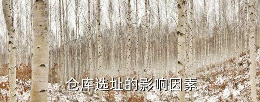  倉庫選址的影響因素