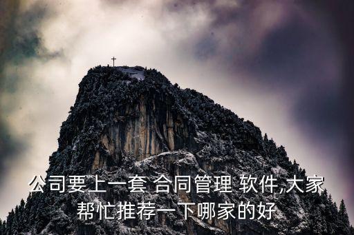 公司要上一套 合同管理 軟件,大家?guī)兔ν扑]一下哪家的好