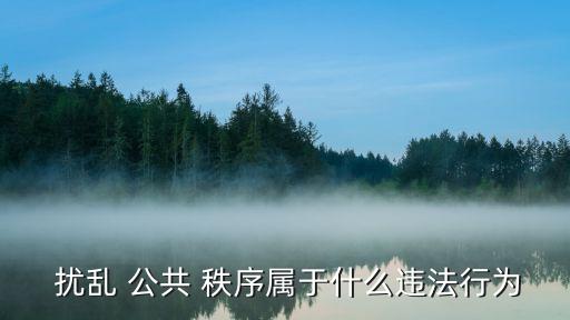 擾亂公共秩序治安處罰,什么是擾亂公共秩序治安處罰