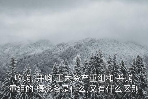 企業(yè)并購的概念