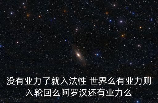 沒有業(yè)力了就入法性 世界么有業(yè)力則入輪回么阿羅漢還有業(yè)力么