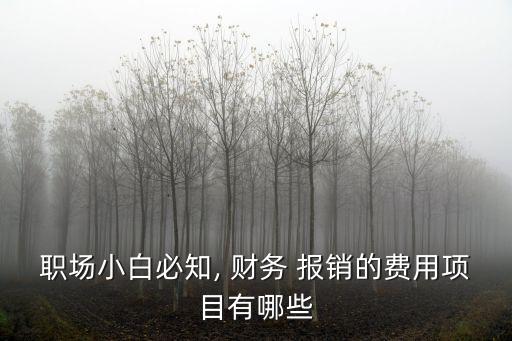 財務報銷