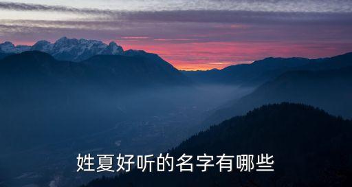 夏亮,輪胎東門送君去去時雪滿天山路夏亮