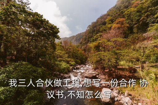 工地合伙人合同協(xié)議書,二人合伙投資生意合同