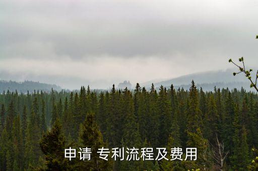  申請 專利流程及費用