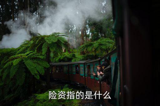 險(xiǎn)資指的是什么