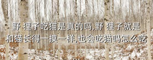 山貍子能吃嗎,打死一只果子貍判多少年