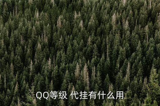 qq代掛平臺(tái)