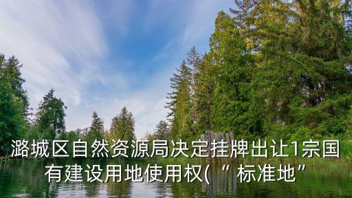 潞城區(qū)自然資源局決定掛牌出讓1宗國(guó)有建設(shè)用地使用權(quán)(“ 標(biāo)準(zhǔn)地”