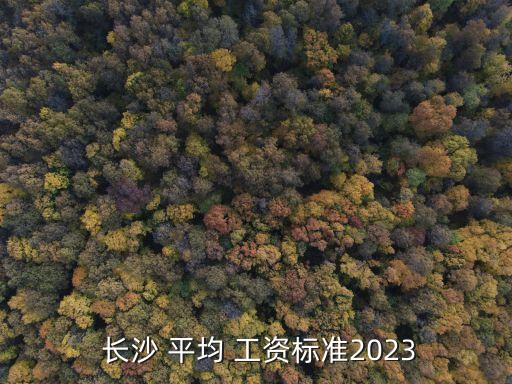  長沙 平均 工資標準2023
