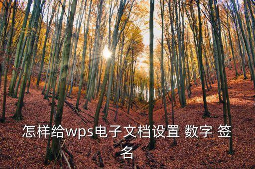 怎樣給wps電子文檔設(shè)置 數(shù)字 簽名