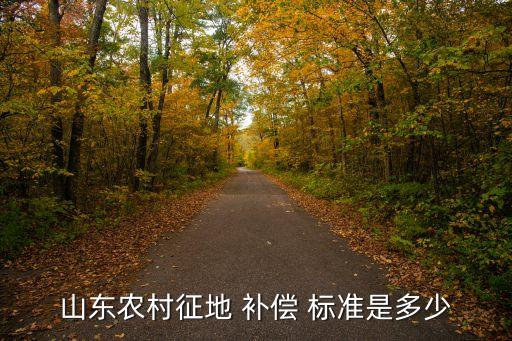 山東省土地征收補(bǔ)償標(biāo)準(zhǔn)2021