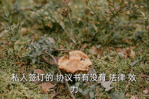 個人寫的協(xié)議書有法律效力嘛,離婚協(xié)議書有法律效力嗎