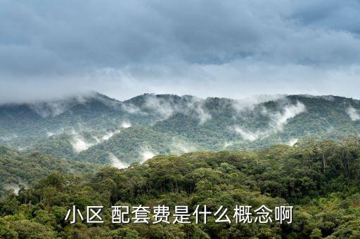 小區(qū) 配套費(fèi)是什么概念啊