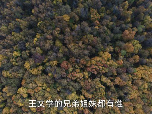 王文靜