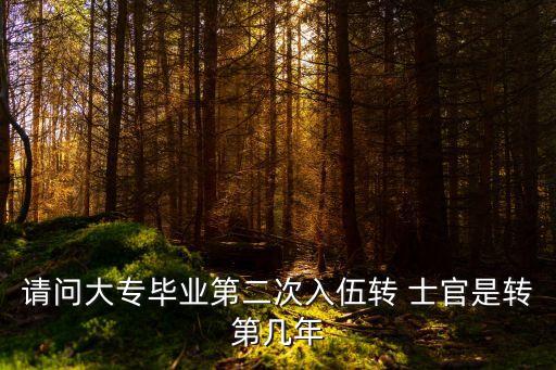 請(qǐng)問(wèn)大專(zhuān)畢業(yè)第二次入伍轉(zhuǎn) 士官是轉(zhuǎn)第幾年