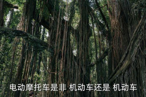電摩屬于機動車嗎,過渡期牌照的電摩屬于機動車嗎
