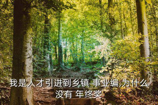 我是人才引進(jìn)到鄉(xiāng)鎮(zhèn) 事業(yè)編,為什么沒(méi)有 年終獎(jiǎng)