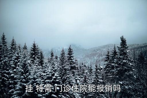 特需門(mén)診可以走醫(yī)保嗎,積水潭醫(yī)院特需門(mén)診可以走醫(yī)保嗎