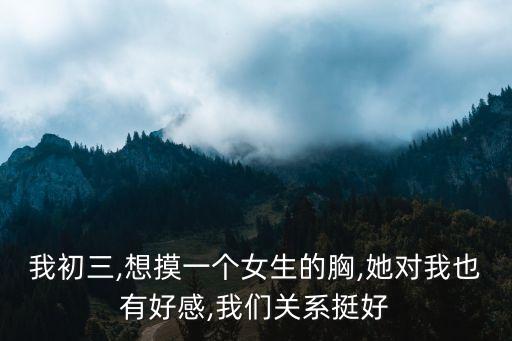 摸妹妹的胸