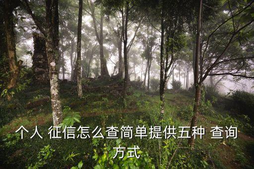 個人 征信怎么查簡單提供五種 查詢方式