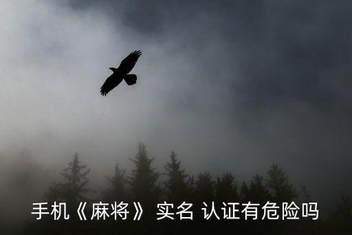 游戲?qū)嵜J(rèn)證有風(fēng)險(xiǎn)嗎,4399游戲?qū)嵜J(rèn)證有風(fēng)險(xiǎn)嗎