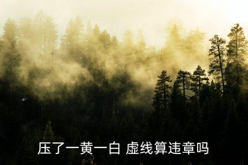 壓了一黃一白 虛線算違章嗎