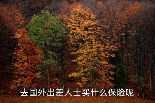 出國旅行保險(xiǎn)