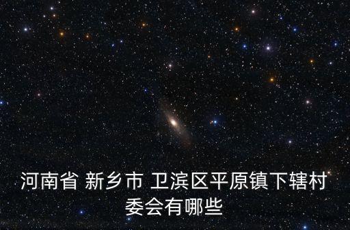 河南省 新鄉(xiāng)市 衛(wèi)濱區(qū)平原鎮(zhèn)下轄村委會有哪些