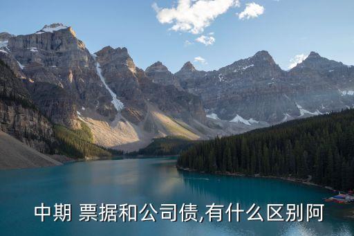 發(fā)行中期票據(jù)