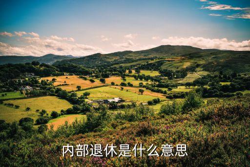 內(nèi)退是什么意思,公務(wù)員內(nèi)退是什么意思